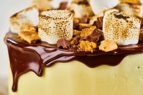 s&#039;mores cake with domino light brown sugar, topped with toasted marshmallows